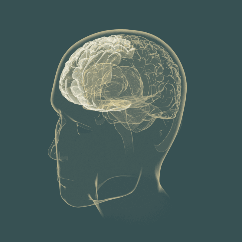 TMS therapy session